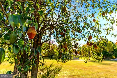 2675 Logmill Road, Haymarket, VA 20169 - Photo 10