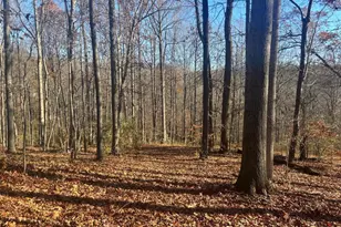 2412 Mountain Rd, Haymarket, VA 20169 - Photo 1