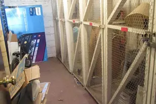 11055 Camfield Ct, Manassas, VA 20109 - Photo 42