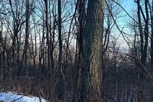 1607 Summit Dr, Haymarket, VA 20169 - Photo 1