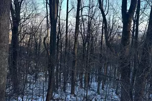 16209 Sumney Dr, Haymarket, VA 20169 - Photo 1