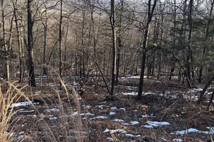 16251 Sumney Dr, Haymarket, VA 20169 - Photo 1