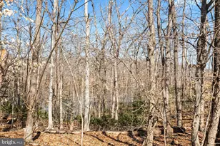 3476 Aviary Way, Woodbridge, VA 22192 - Photo 32