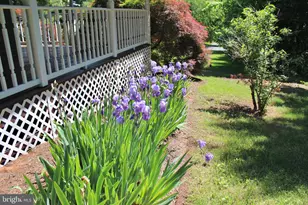 4011 Gypsum Hill Rd, Haymarket, VA 20169 - Photo 10