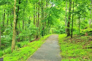 8268 Roxborough Loop, Gainesville, VA 20155 - Photo 146