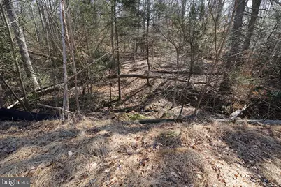 6195 River Forest Drive, Manassas, VA 20112 - Photo 84