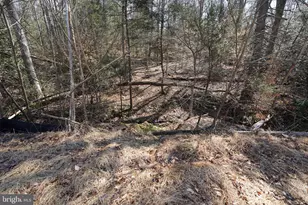 6195 River Forest Dr, Manassas, VA 20112 - Photo 84