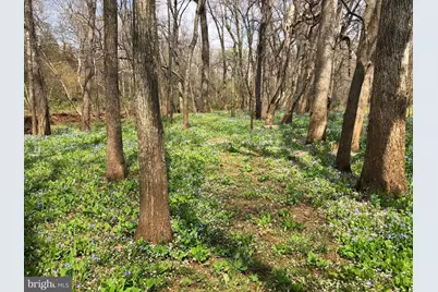 10101 Alydar Court, Nokesville, VA 20181 - Photo 84