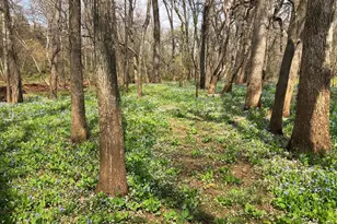 10101 Alydar Ct, Nokesville, VA 20181 - Photo 84