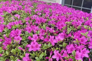 2785 Sugar Pine Ct, Woodbridge, VA 22192 - Photo 4