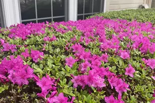 2785 Sugar Pine Ct, Woodbridge, VA 22192 - Photo 1