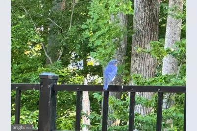 1555 Meadowlark Glen Road, Dumfries, VA 22026 - Photo 6