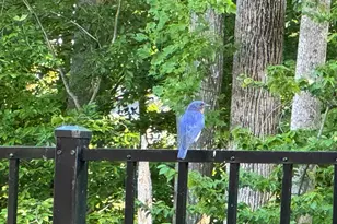 1555 Meadowlark Glen Rd, Dumfries, VA 22026 - Photo 6