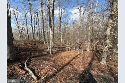 11720 Olympic Drive, Manassas, VA 20112 - Photo 12