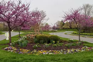 5422 Sherman Oaks Ct, Haymarket, VA 20169 - Photo 10