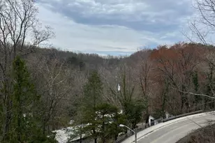 456 Overlook Dr, Occoquan, VA 22125 - Photo 12