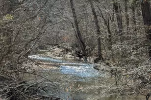 11125 Pine View Estates Ct, Nokesville, VA 20181 - Photo 60