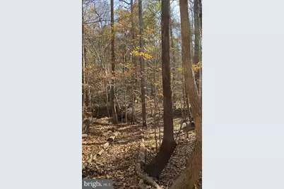 11794 Target Court, Woodbridge, VA 22192 - Photo 6