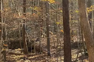 11794 Target Ct, Woodbridge, VA 22192 - Photo 6