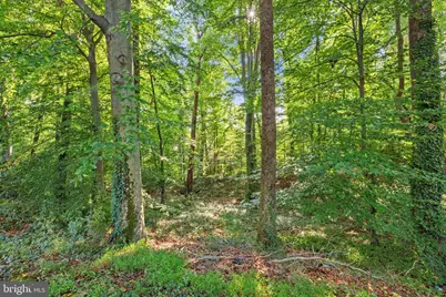14309 Fairmont Court, Woodbridge, VA 22193 - Photo 48