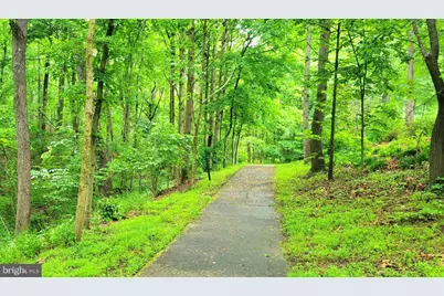 15714 Spyglass Hill Loop, Gainesville, VA 20155 - Photo 92