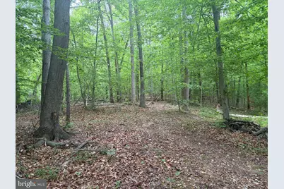 16921 Batestown Road, Dumfries, VA 22025 - Photo 1