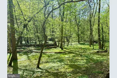 6930 Stethem Court, Manassas, VA 20112 - Photo 44