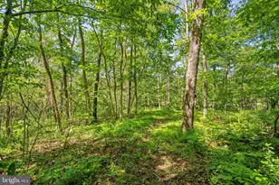 12009 Bobwhite Dr, Catharpin, VA 20143 - Photo 26