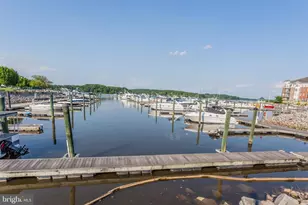 485 Harbor Side St, Woodbridge, VA 22191 - Photo 34