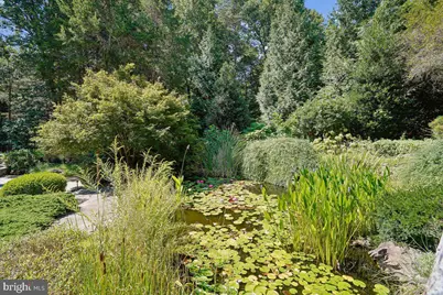 8287 Arrowleaf Turn, Gainesville, VA 20155 - Photo 64