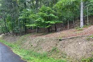 16207 Sumney Dr, Haymarket, VA 20169 - Photo 10