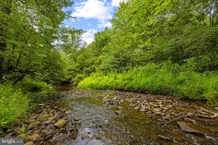 14511 Presgrave Pl, Haymarket, VA 20169 - Photo 142