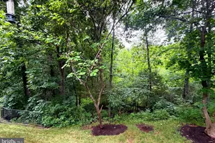 13886 Crabtree Way, Gainesville, VA 20155 - Photo 4