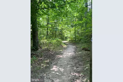 4468 Starling Court, Woodbridge, VA 22193 - Photo 58