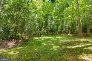 12212 Woodlark Ct, Manassas, VA 20112 - Photo 66
