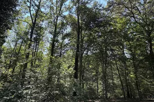 8133 Counselor Rd, Manassas, VA 20112 - Photo 80