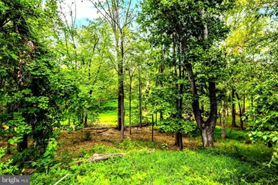 14540 Lightner Road, Haymarket, VA 20169 - Photo 40