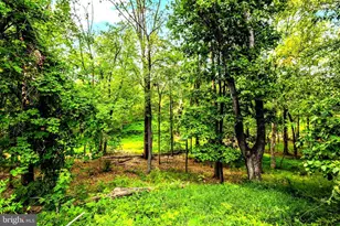 14540 Lightner Rd, Haymarket, VA 20169 - Photo 40