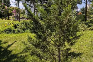 5598 Websters Way, Manassas, VA 20112 - Photo 18