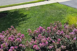 5598 Websters Way, Manassas, VA 20112 - Photo 2