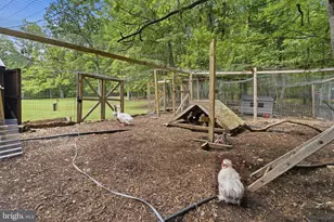 3204 Mountain Rd, Haymarket, VA 20169 - Photo 130