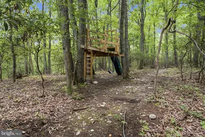 3204 Mountain Road, Haymarket, VA 20169 - Photo 134