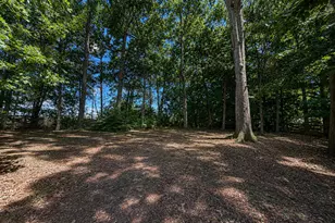 13325 Pocomoke Ct, Woodbridge, VA 22192 - Photo 48