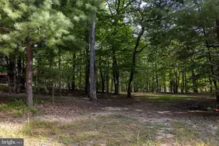4251 Bear Hollow Trail, Haymarket, VA 20169 - Photo 12