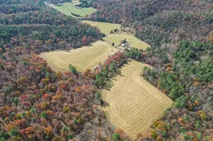 19442 Runions Creek Rd, Broadway, VA 22815 - Photo 16