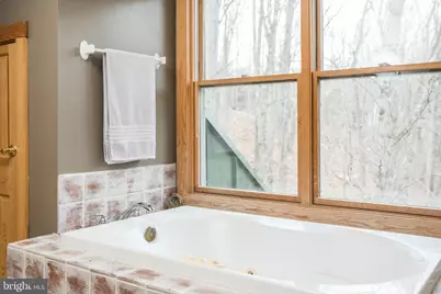 175 Cub Lane, Mc Gaheysville, VA 22840 - Photo 24