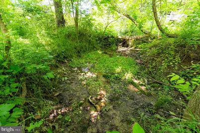 2410 Mauzy Athlone Road, Broadway, VA 22815 - Photo 18