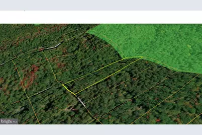 493 Shotgun Spring Road, Broadway, VA 22815 - Photo 30