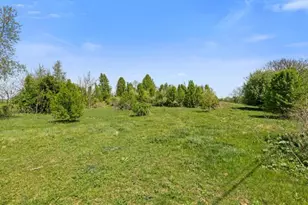 7149 Joseph Funk Ln, Singers Glen, VA 22850 - Photo 58