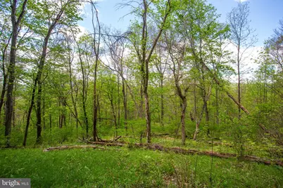 0 Church Mountain Lane, Fulks Run, VA 22830 - Photo 4